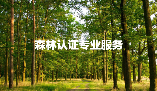 森林认证对环境保护的贡献（了解FSC森林认证对保护森林生态环境的重要贡献）