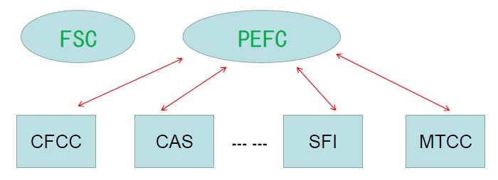 PEFC与各互认体系的关系.jpg