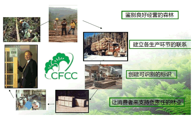 中国森林认证.png