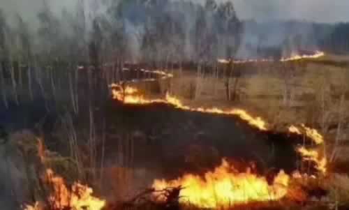 森林认证与森林防火：森林消防队伍建设和管理