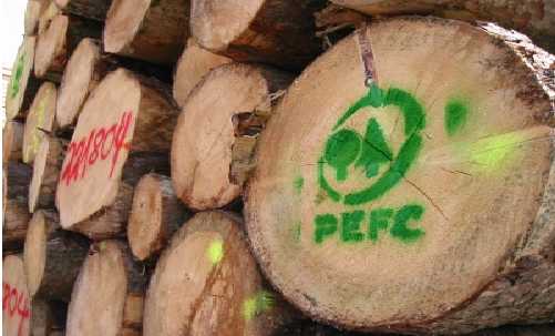 PEFC森林认证.png